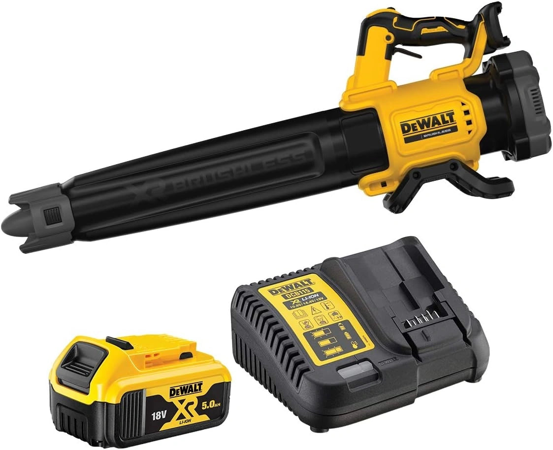 DeWalt, Batteria ricaricabile, 18V, 5Ah